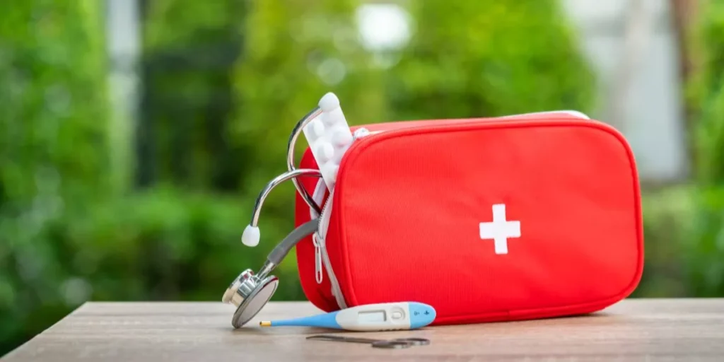 What Are the Best Outdoor Pet First Aid Kits to Have on Hand? What Are the Best Outdoor Pet First Aid Kits to Have on Hand?